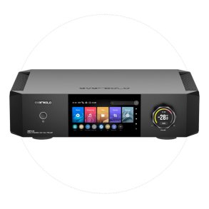 Streamer / Netværksafspiller