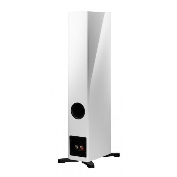 Dynaudio Evoke 30