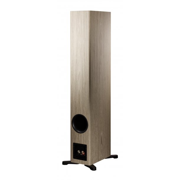 Dynaudio Evoke 50