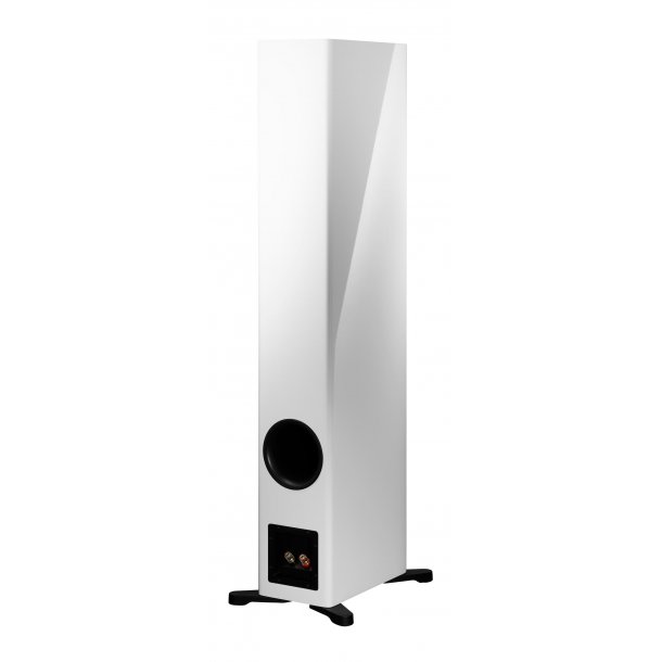 Dynaudio Evoke 50