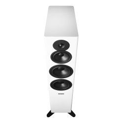 Dynaudio Evoke 50