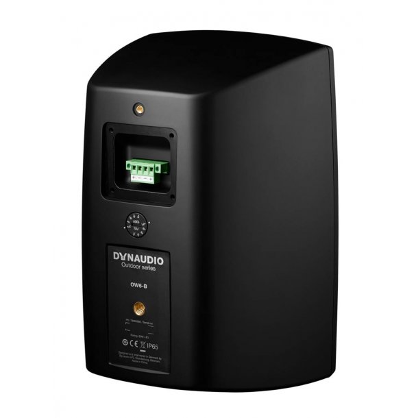 Dynaudio OW-6