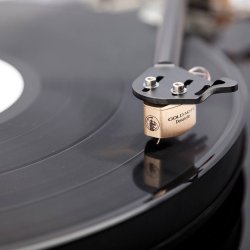 Gold Note Donatello Gold