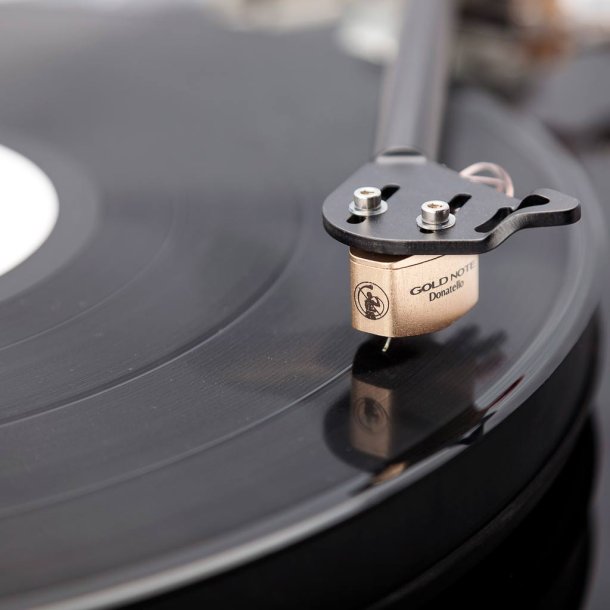 Gold Note Donatello Gold