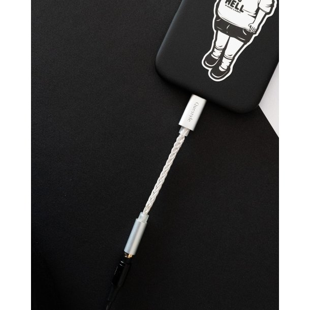 Questyle Q-Link