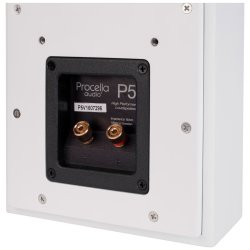 Procella P5