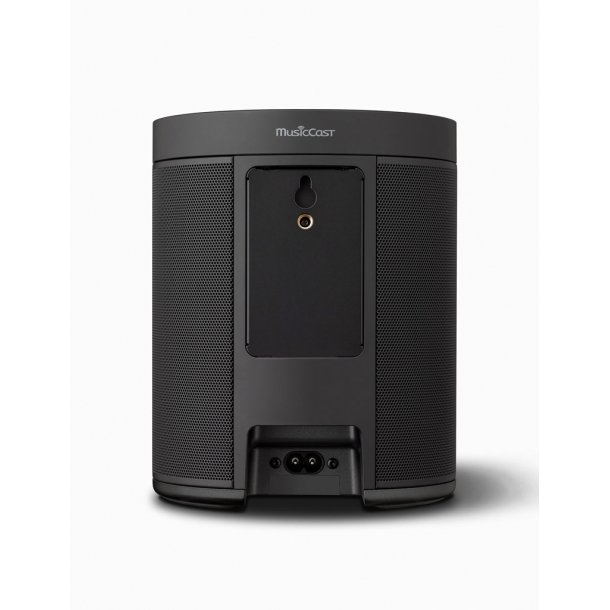 Yamaha MusicCast 20 WX-021