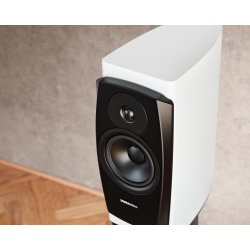 Dynaudio Confidence 20A