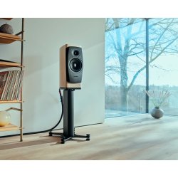 Dynaudio Confidence 20i