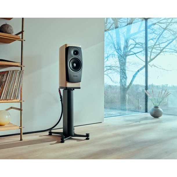 Dynaudio Confidence 20i