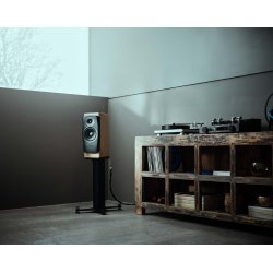 Dynaudio Confidence 20i