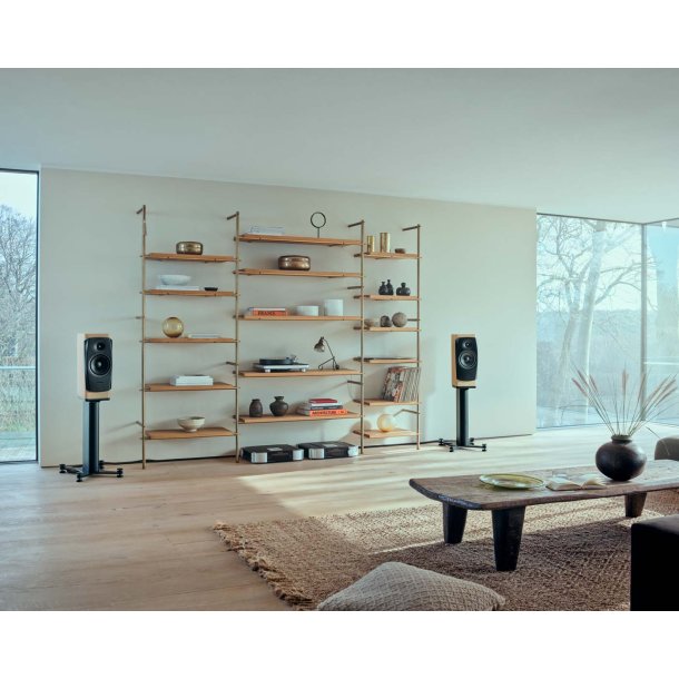 Dynaudio Confidence 20i