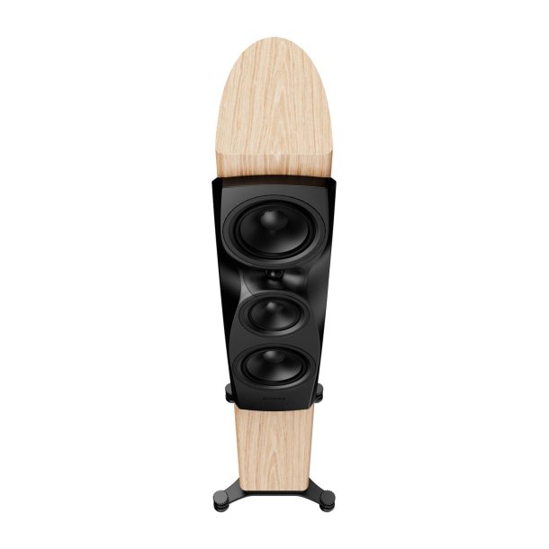 Dynaudio Confidence 30i