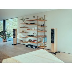 Dynaudio Confidence 30i