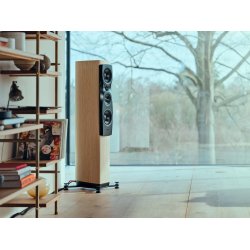 Dynaudio Confidence 30i