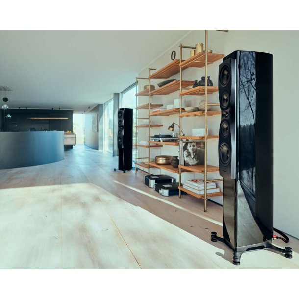 Dynaudio Confidence 50i