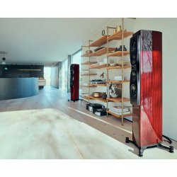 Dynaudio Confidence 50i