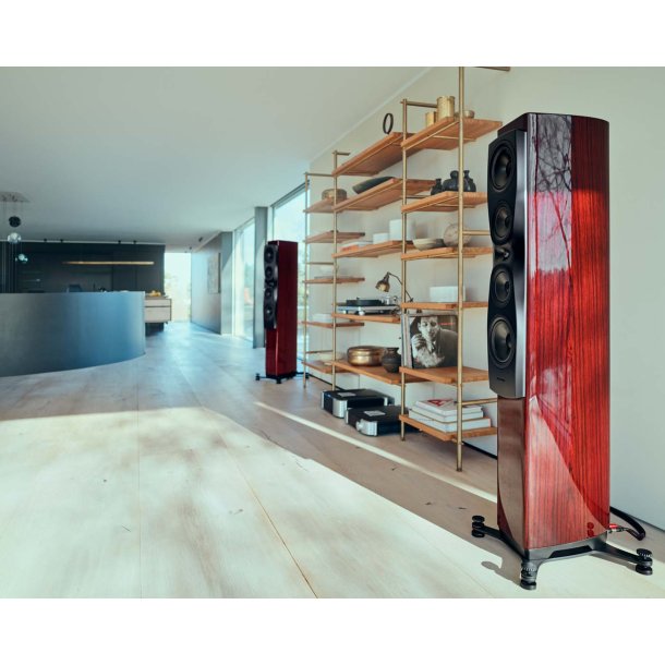 Dynaudio Confidence 50i