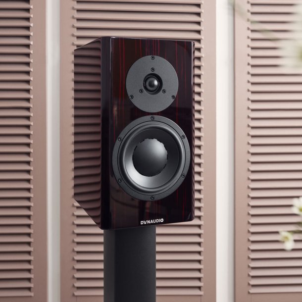 Dynaudio Special Forty