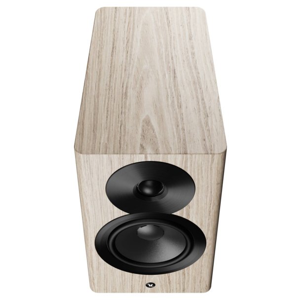 Dynaudio Focus 10