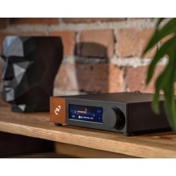 Foto af Ferrum Audio Wandla DAC p� en hylde med en plante i forgrunden og en skulptur i baggrunden