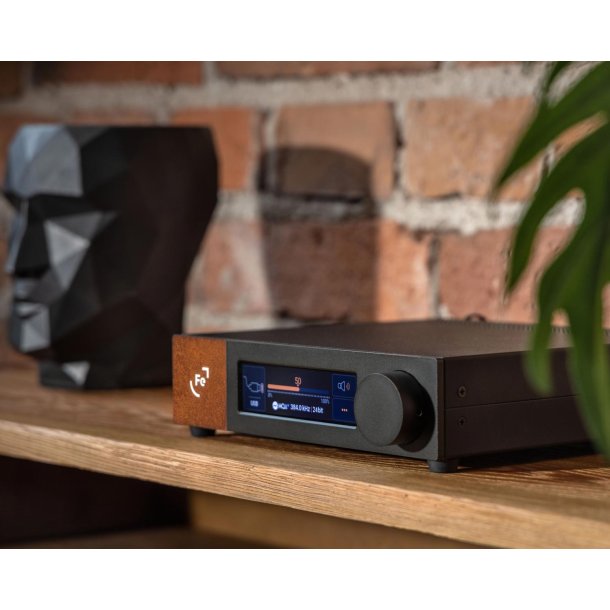 Foto af Ferrum Audio Wandla DAC p� en hylde med en plante i forgrunden og en skulptur i baggrunden