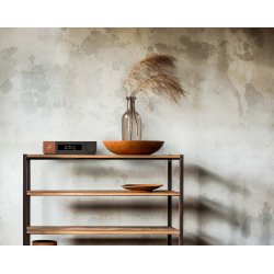 Foto af Ferrum Audio WANDLA Golden Sound Gen 2 p� en reol ved siden af en blomst