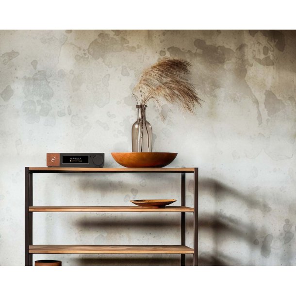 Foto af Ferrum Audio WANDLA Golden Sound Gen 2 p� en reol ved siden af en blomst