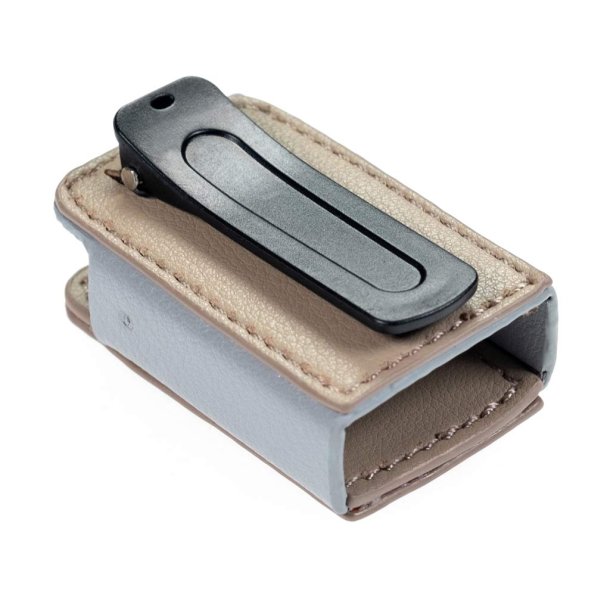 iFI Audio Go Blu etui