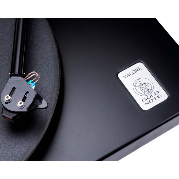 Gold Note Valore 425 Lite / Vasari Gold - Demo