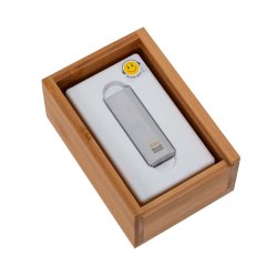 iFI Audio Go Bar Kensei