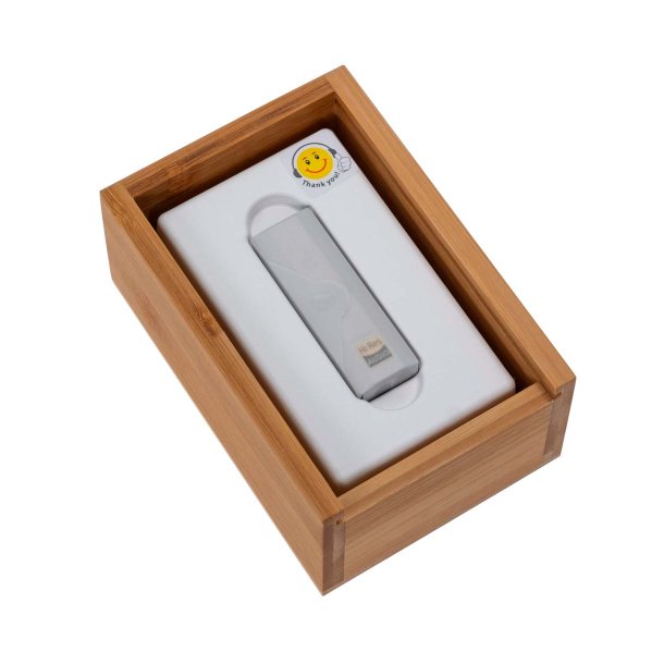 iFI Audio Go Bar Kensei