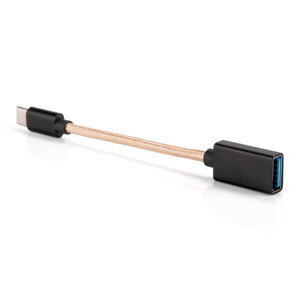 iFI Audio OTG USB-C