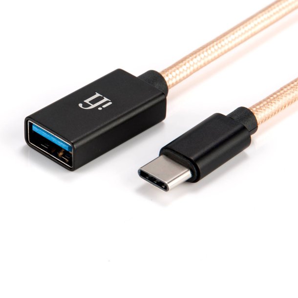 iFI Audio OTG USB-C
