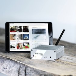 Lindemann Limetree Network II - Demo