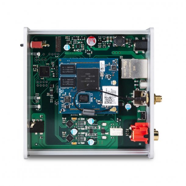 Lindemann Limetree Network II - Demo