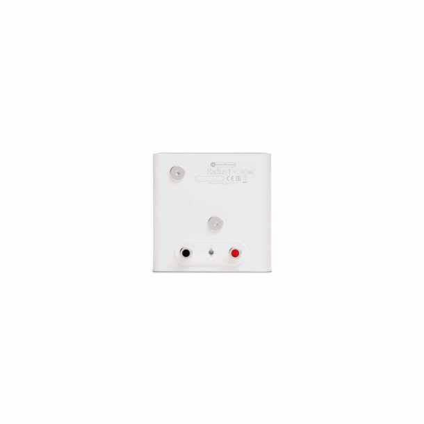 Bagsiden p� Monitor Audio Radius 1 4G som viser h�jttalerindgangene