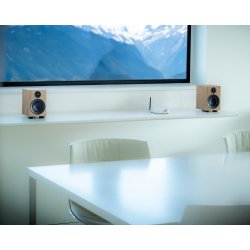 Pro-ject Speaker Box 3 E Carbon