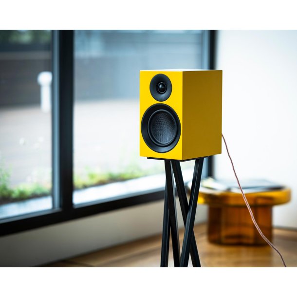 Pro-ject Speaker Box 5 E Carbon