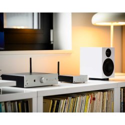 Pro-Ject Stream Box E