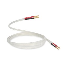 QED Silver Anniversary XT