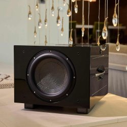 REL Carbon Special Black Label