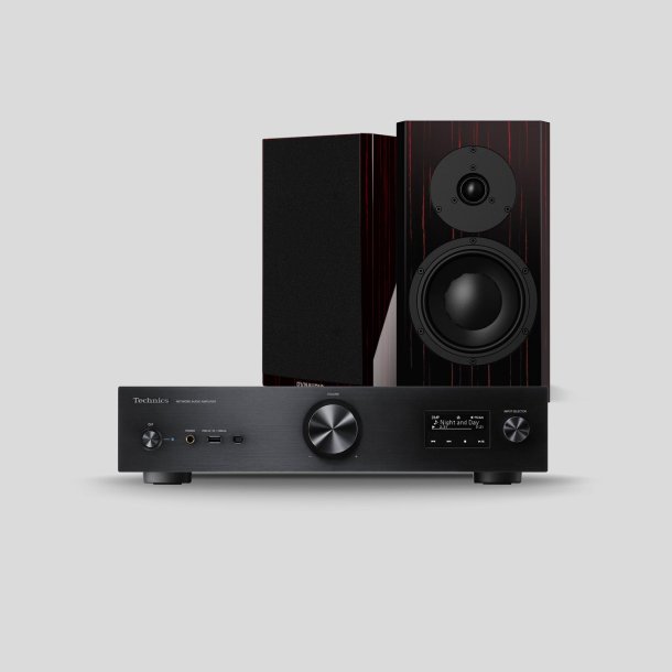 Technics SU-GX70 + Dynaudio Special Forty