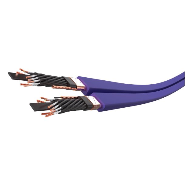 Wireworld Aurora 10 Power