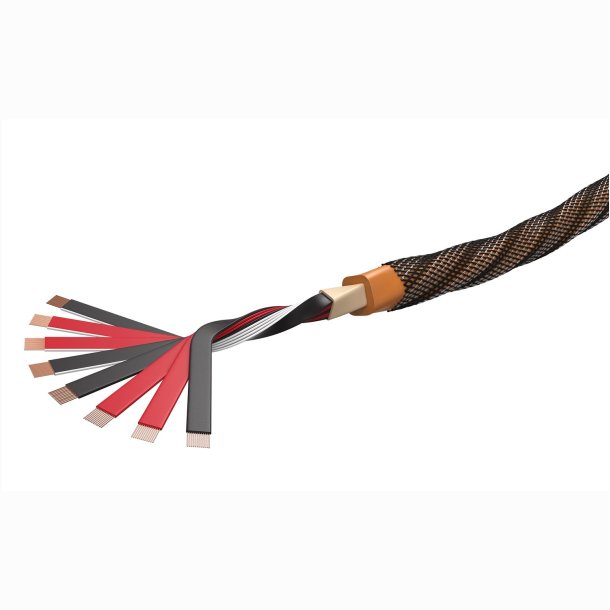 Wireworld Eclipse 10 Speaker