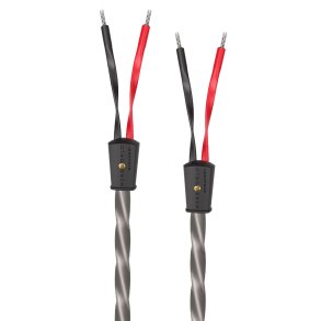 Wireworld Equinox 10 Speaker