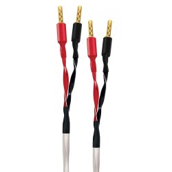 Wireworld Luna 10 Speaker