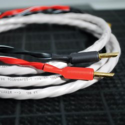 Wireworld Luna 10 Speaker