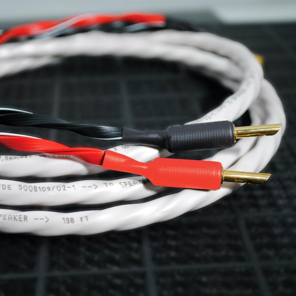 Wireworld Luna 10 Speaker