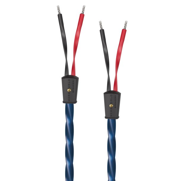 Wireworld Oasis 10 Speaker